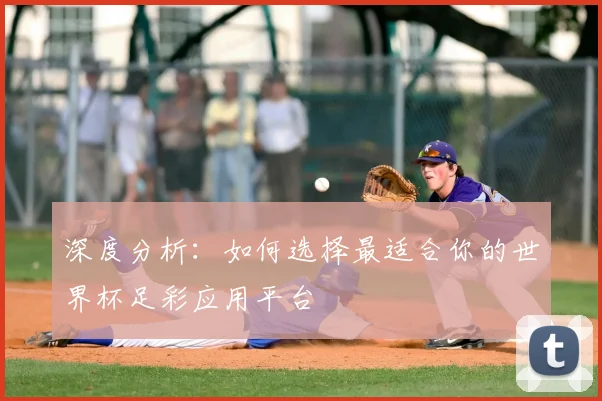 深度分析:如何选择最适合你的世界杯足彩应用平台