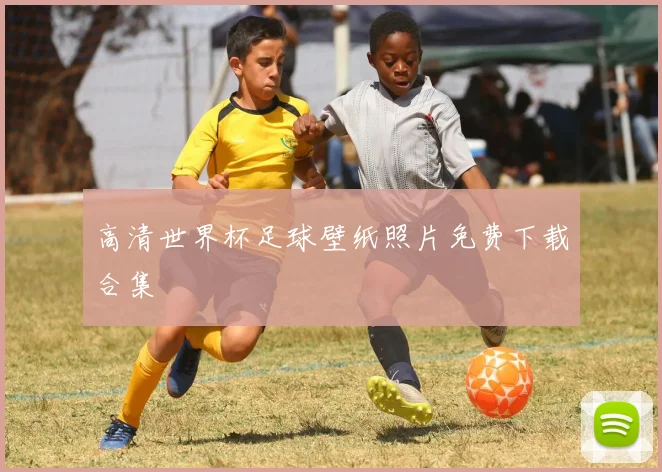 高清世界杯足球壁纸照片免费下载合集