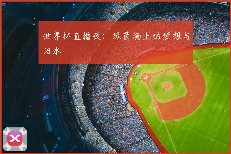 世界杯直播夜:绿茵场上的梦想与泪水