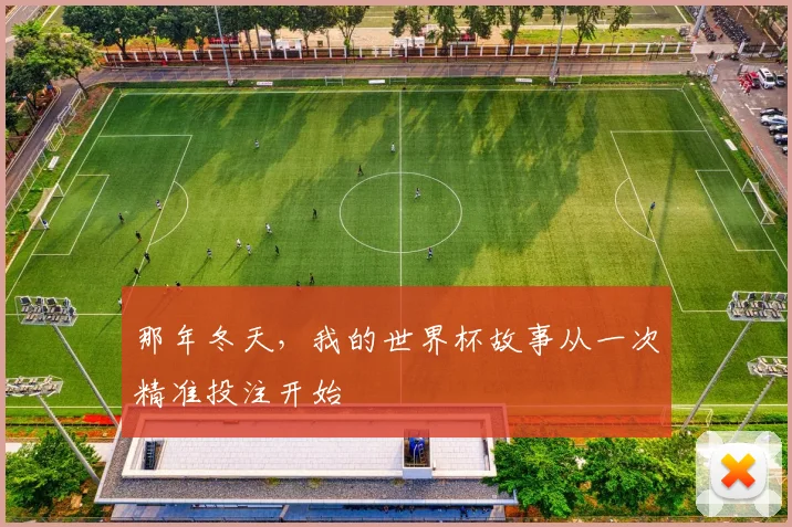 那年冬天,我的世界杯故事从一次精准投注开始