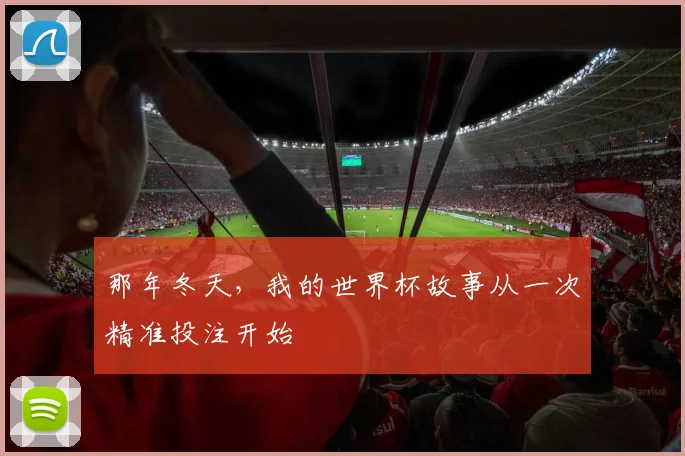 那年冬天,我的世界杯故事从一次精准投注开始