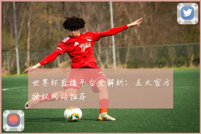 世界杯直播平台全解析：五大官方授权网站推荐