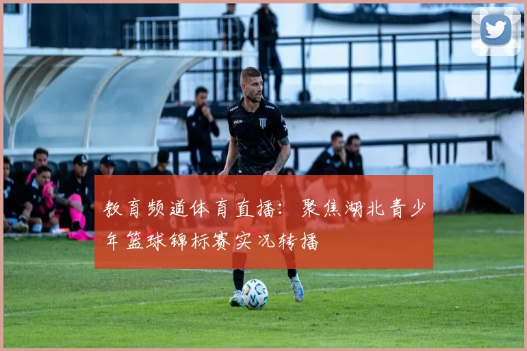 教育频道体育直播：聚焦湖北青少年篮球锦标赛实况转播