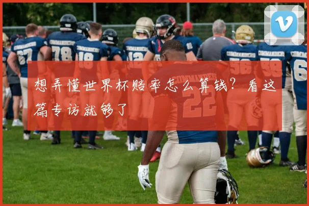 想弄懂世界杯赔率怎么算钱？看这篇专访就够了