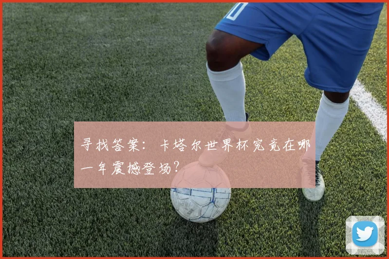 寻找答案：卡塔尔世界杯究竟在哪一年震撼登场？