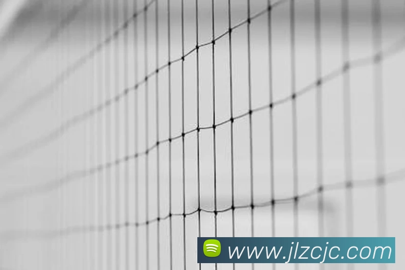 欧宝在线官网服务体系